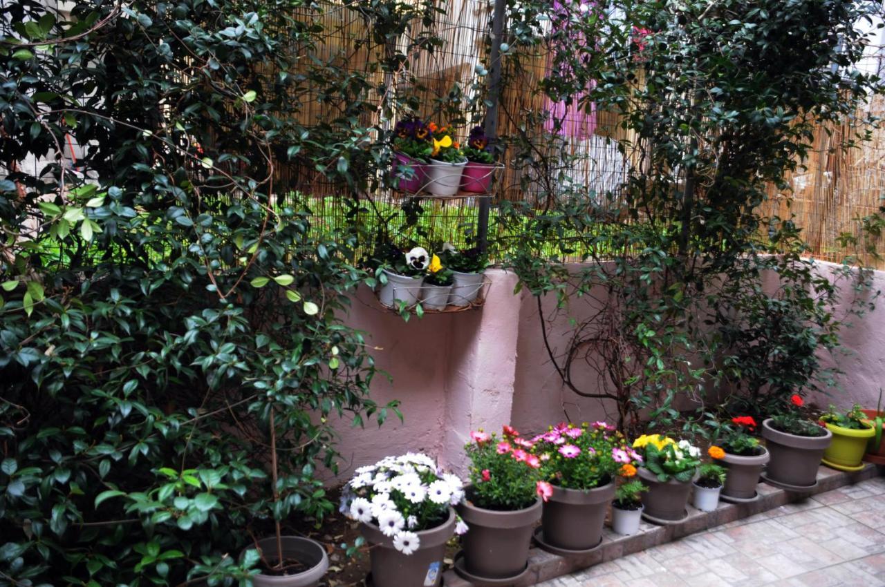 Garden House/thessaloniki/wifi Daire Selanik